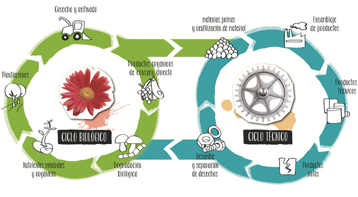 ciclos técnico y biológico economia circular